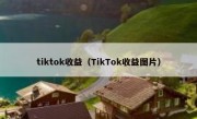 tiktok收益（TikTok收益图片）