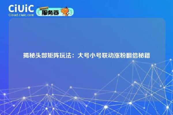 揭秘头部矩阵玩法:大号小号联动涨粉翻倍秘籍 第1张 揭秘头部矩阵玩法:大号小号联动涨粉翻倍秘籍 第1张