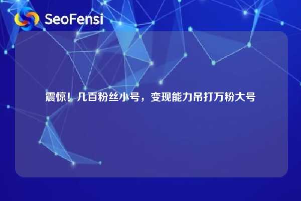 震惊!几百粉丝小号,变现能力吊打万粉大号 第1张 震惊!几百粉丝小号,变现能力吊打万粉大号 第1张