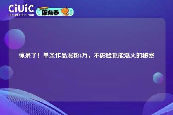 惊呆了!单条作品涨粉4万,不露脸也能爆火的秘密 第1张 惊呆了!单条作品涨粉4万,不露脸也能爆火的秘密 第1张