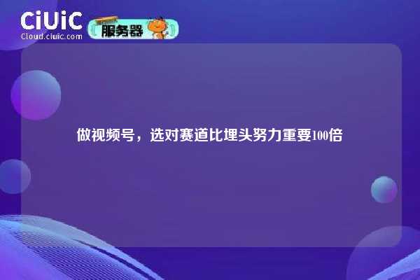 做视频号,选对赛道比埋头努力重要100倍 第1张 做视频号,选对赛道比埋头努力重要100倍 第1张