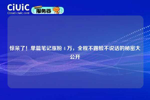 惊呆了!单篇笔记涨粉 4 万,全程不露脸不说话的秘密大公开 第1张 惊呆了!单篇笔记涨粉 4 万,全程不露脸不说话的秘密大公开 第1张