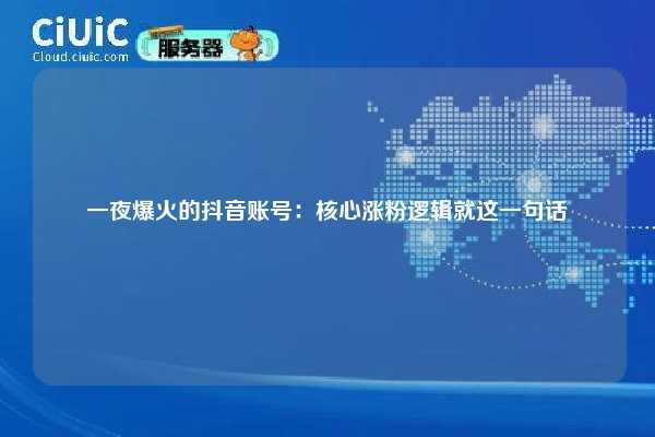 一夜爆火的抖音账号:核心涨粉逻辑就这一句话 第1张 一夜爆火的抖音账号:核心涨粉逻辑就这一句话 第1张