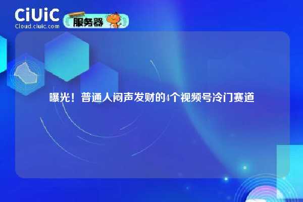 曝光!普通人闷声发财的4个视频号冷门赛道 第1张 曝光!普通人闷声发财的4个视频号冷门赛道 第1张